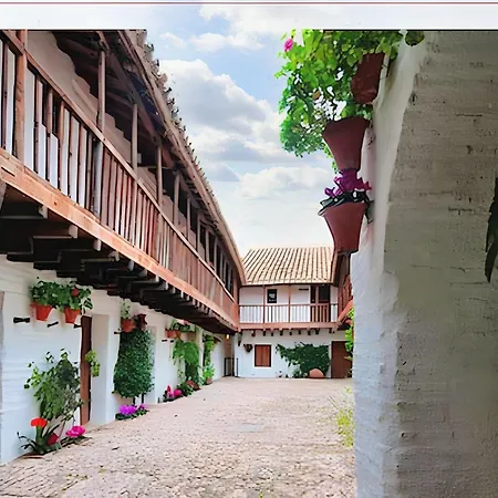 Charming Centre In With Parking Appartement